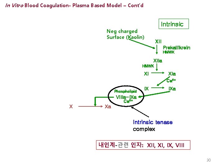 In Vitro Blood Coagulation- Plasma Based Model – Cont’d Intrinsic Neg charged Surface (Kaolin)