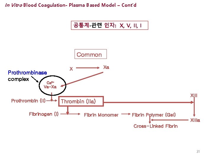 In Vitro Blood Coagulation- Plasma Based Model – Cont’d 공통계-관련 인자: X, V, II,
