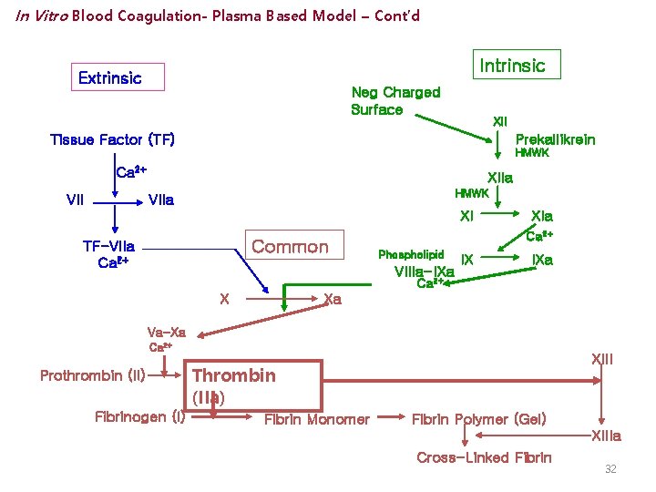 In Vitro Blood Coagulation- Plasma Based Model – Cont’d Intrinsic Extrinsic Neg Charged Surface