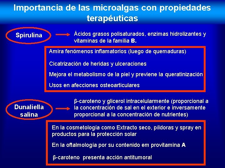 Importancia de las microalgas con propiedades terapéuticas Spirulina Ácidos grasos polisaturados, enzimas hidrolizantes y