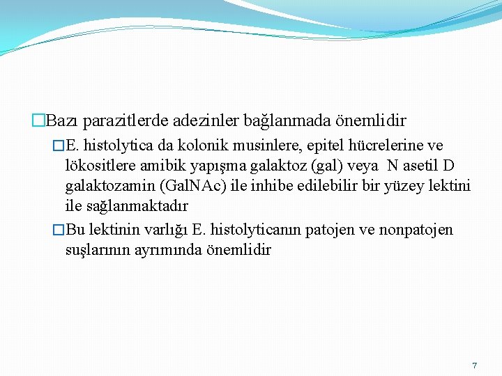 �Bazı parazitlerde adezinler bağlanmada önemlidir �E. histolytica da kolonik musinlere, epitel hücrelerine ve lökositlere