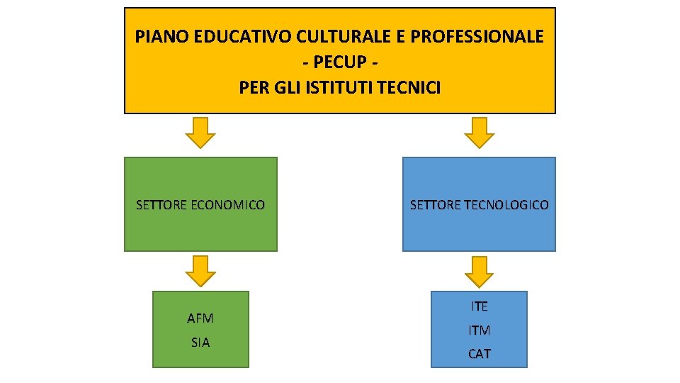 PIANO EDUCATIVO CULTURALE E PROFESSIONALE - PECUP PER GLI ISTITUTI TECNICI SETTORE ECONOMICO AFM