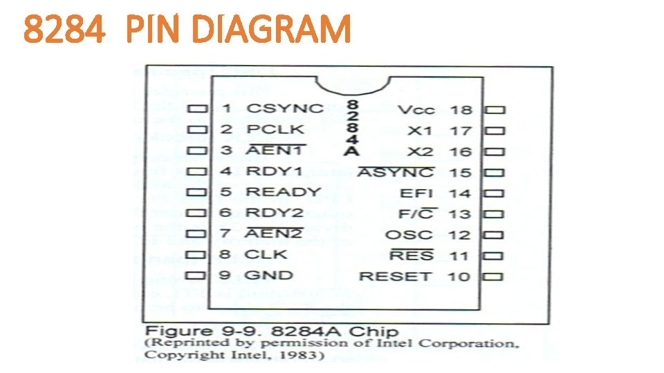 8284 PIN DIAGRAM Engr 4862 Microprocessors 