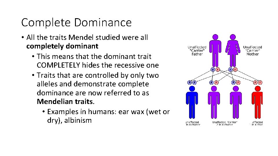 Complete Dominance • All the traits Mendel studied were all completely dominant • This