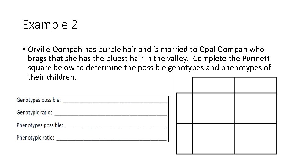 Example 2 • Orville Oompah has purple hair and is married to Opal Oompah