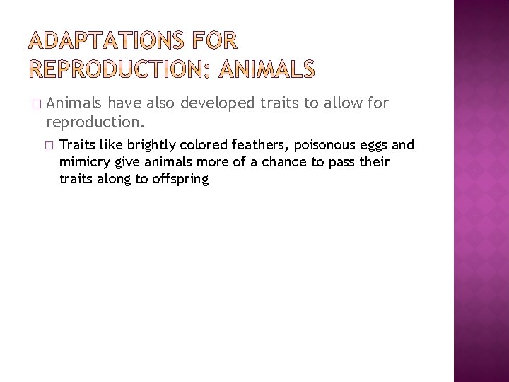 � Animals have also developed traits to allow for reproduction. � Traits like brightly � Animals have also developed traits to allow for reproduction. � Traits like brightly