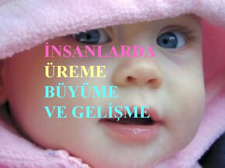 İNSANLARDA ÜREME BÜYÜME VE GELİŞME 