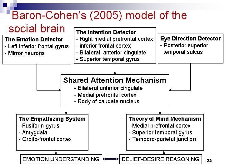 Baron-Cohen’s (2005) model of the social brain The Intention Detector The Emotion Detector -