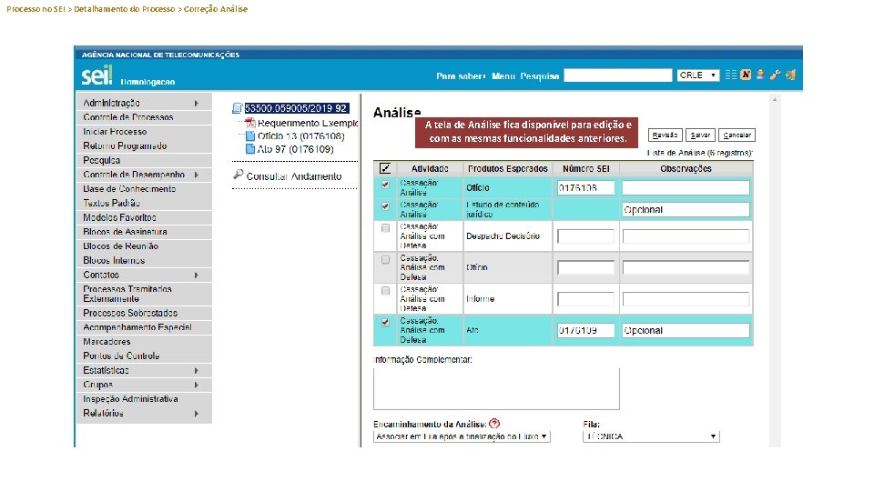 Processo no SEI > Detalhamento do Processo > Correção Análise A tela de Análise
