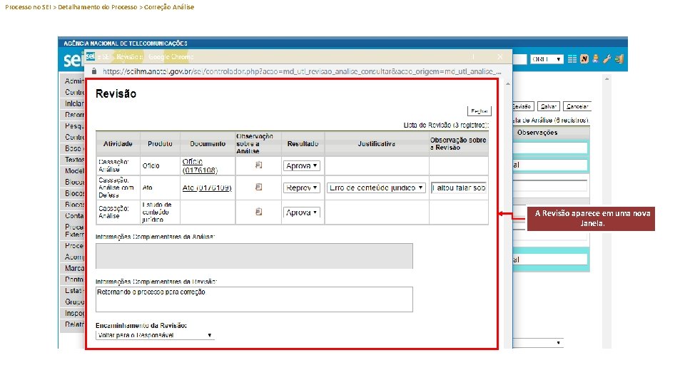 Processo no SEI > Detalhamento do Processo > Correção Análise A Revisão aparece em