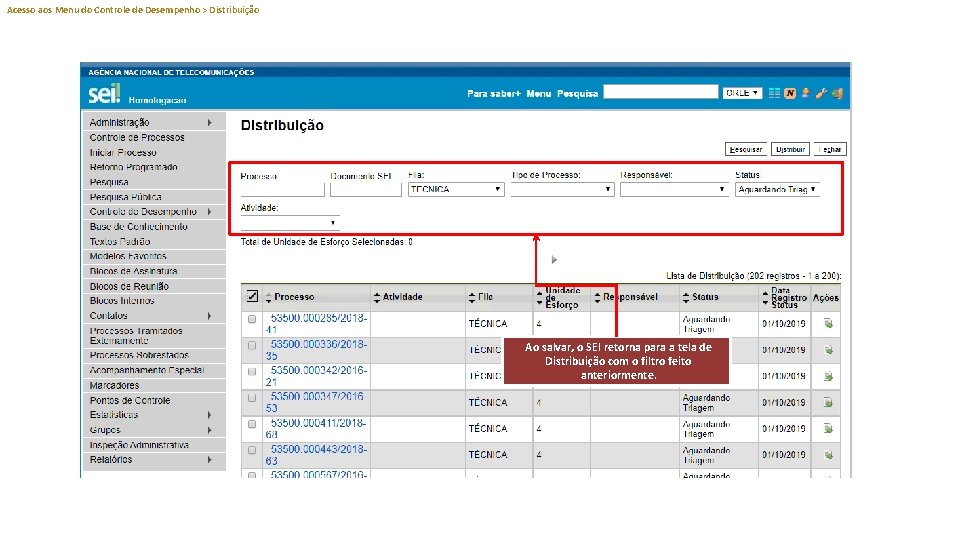 Acesso aos Menu do Controle de Desempenho > Distribuição Ao salvar, o SEI retorna