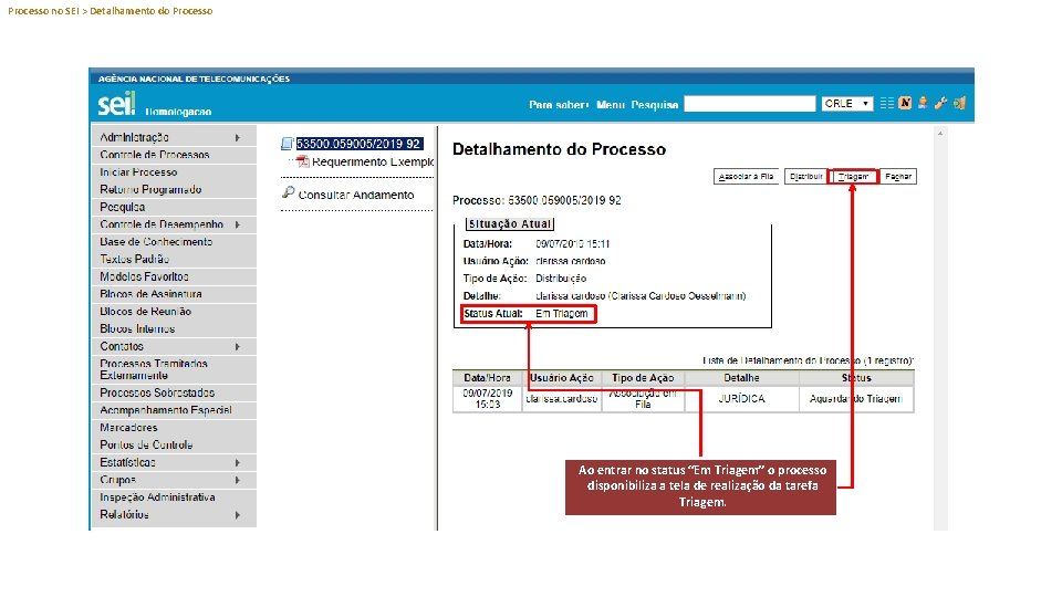 Processo no SEI > Detalhamento do Processo Ao entrar no status “Em Triagem” o