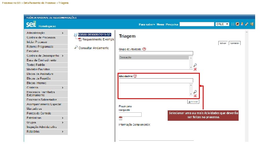 Processo no SEI > Detalhamento do Processo > Triagem Selecionar uma ou mais Atividades