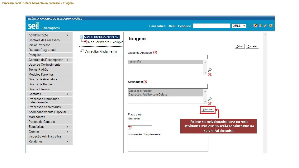 Processo no SEI > Detalhamento do Processo > Triagem Podem ser selecionadas uma ou