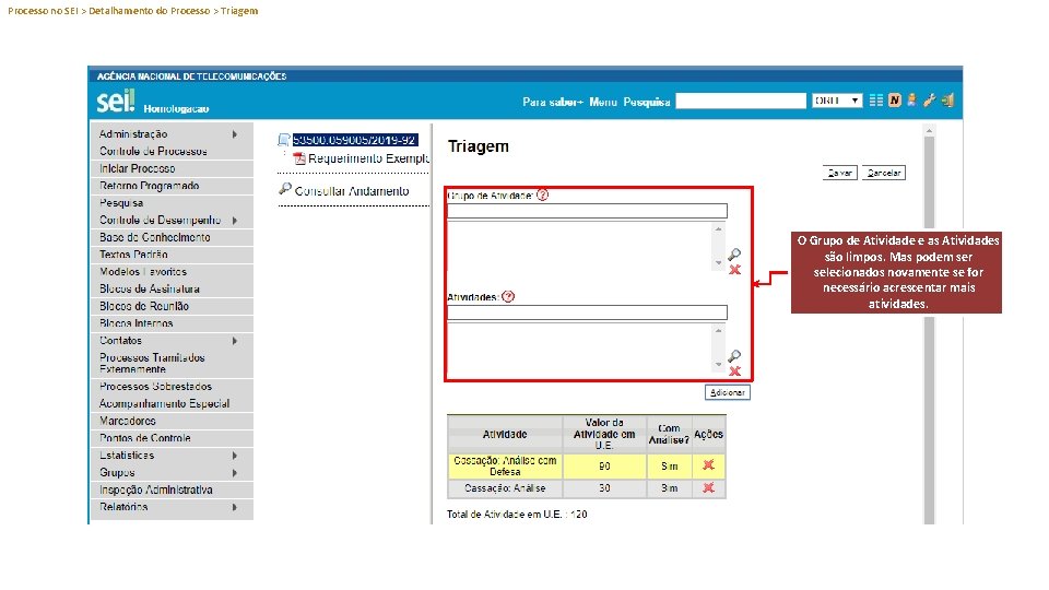 Processo no SEI > Detalhamento do Processo > Triagem O Grupo de Atividade e
