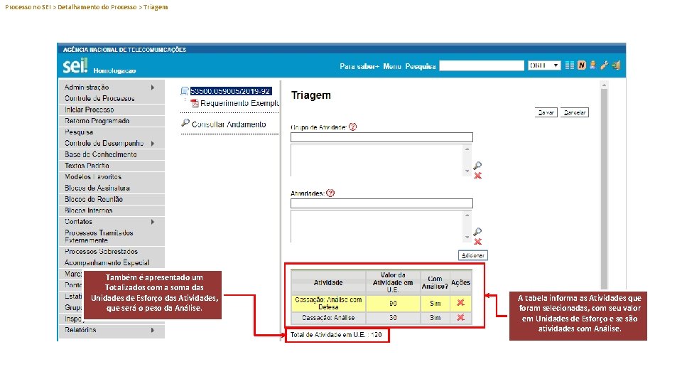 Processo no SEI > Detalhamento do Processo > Triagem Também é apresentado um Totalizados