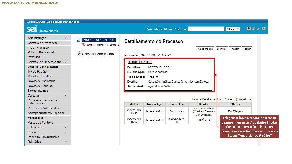 Processo no SEI > Detalhamento do Processo Triagem feita, no campo de Detalhe aparecem