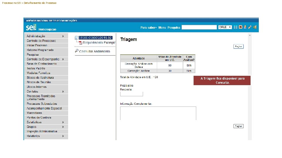 Processo no SEI > Detalhamento do Processo A Triagem fica disponível para Consulta. 