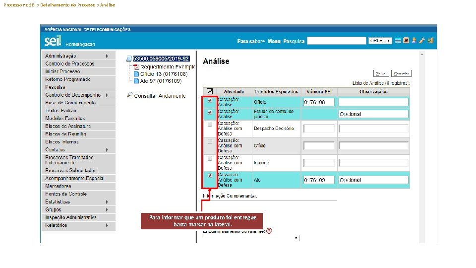 Processo no SEI > Detalhamento do Processo > Análise Para informar que um produto