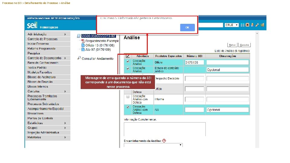 Processo no SEI > Detalhamento do Processo > Análise Mensagem de erro quando o