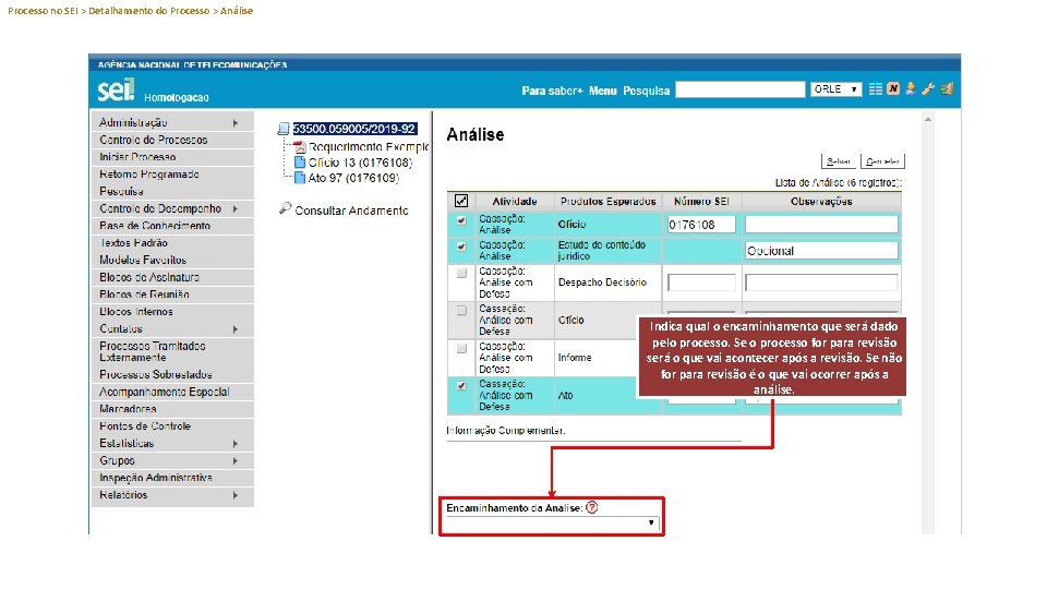 Processo no SEI > Detalhamento do Processo > Análise Indica qual o encaminhamento que