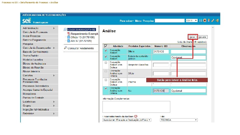 Processo no SEI > Detalhamento do Processo > Análise Botão para Salvar a Análise