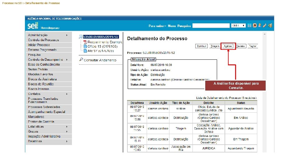 Processo no SEI > Detalhamento do Processo A Análise fica disponível para Consulta. 