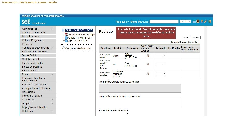 Processo no SEI > Detalhamento do Processo > Revisão A tela de Revisão do