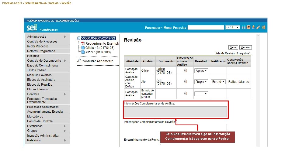 Processo no SEI > Detalhamento do Processo > Revisão Se o Analista escreveu algo