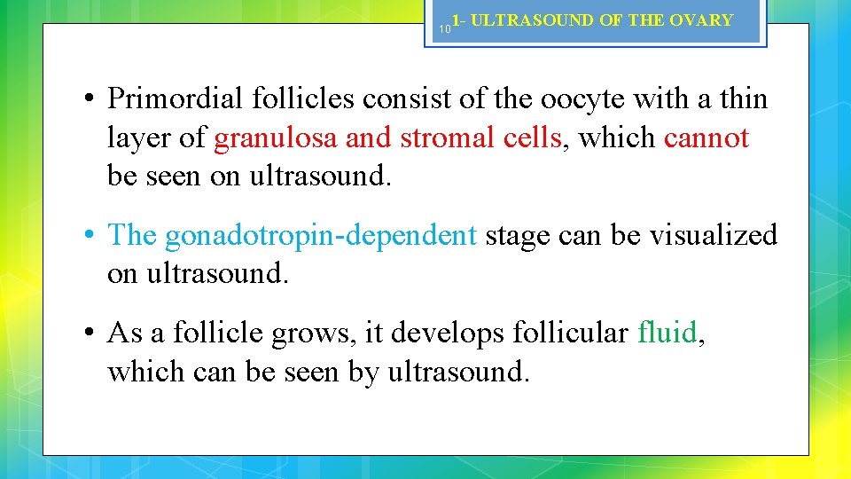 10 1 - ULTRASOUND OF THE OVARY • Primordial follicles consist of the oocyte