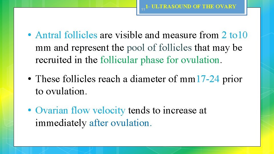 11 1 - ULTRASOUND OF THE OVARY • Antral follicles are visible and measure