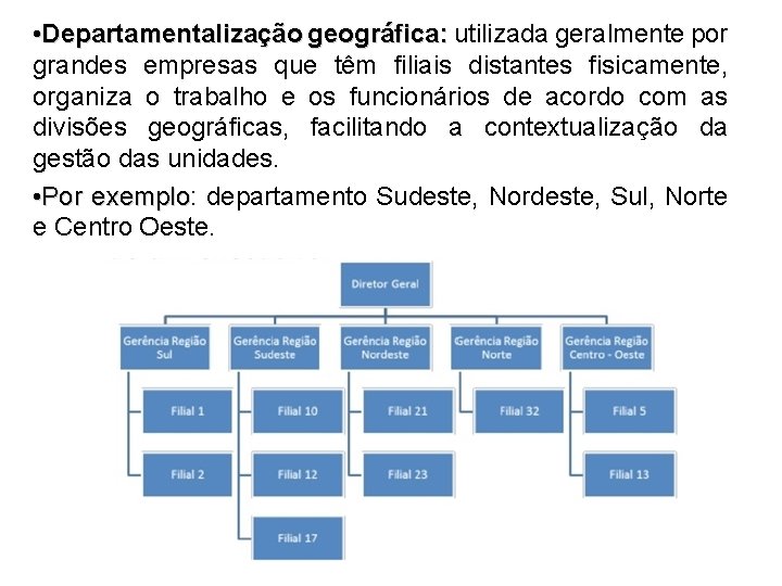  • Departamentalização geográfica: utilizada geralmente por grandes empresas que têm filiais distantes fisicamente,