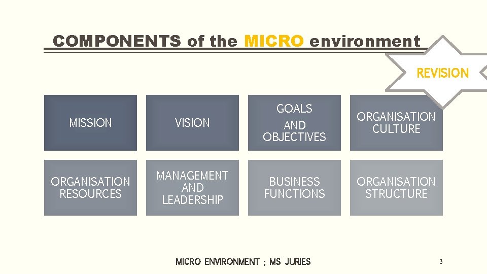 COMPONENTS of the MICRO environment REVISION MISSION VISION GOALS AND OBJECTIVES ORGANISATION RESOURCES MANAGEMENT
