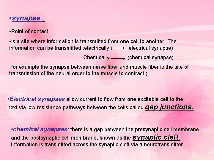  • synapse : • Point of contact • is a site where information