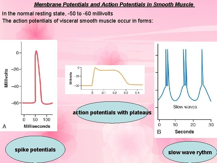 Membrane Potentials and Action Potentials in Smooth Muscle In the normal resting state, -50