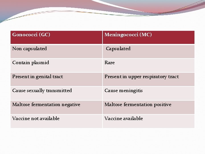 Gonococci (GC) Meningococci (MC) Non capsulated Contain plasmid Rare Present in genital tract Present