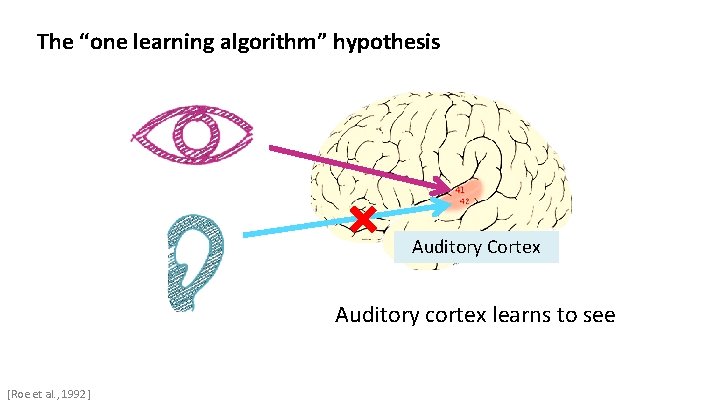 Cortex Algorithm 7 Introduction to Neural Networks CSC 4510 Machine