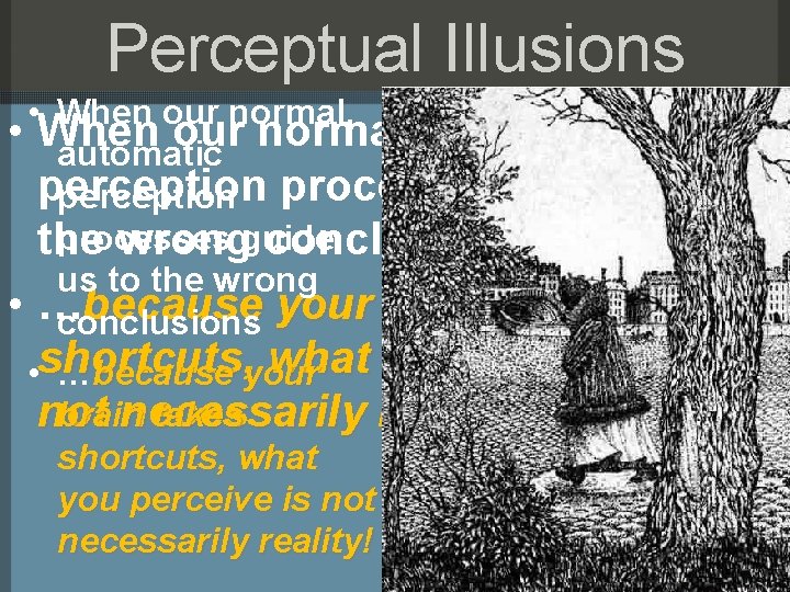 Perceptual Illusions • When our normal, automatic perception processes guide us to processes the