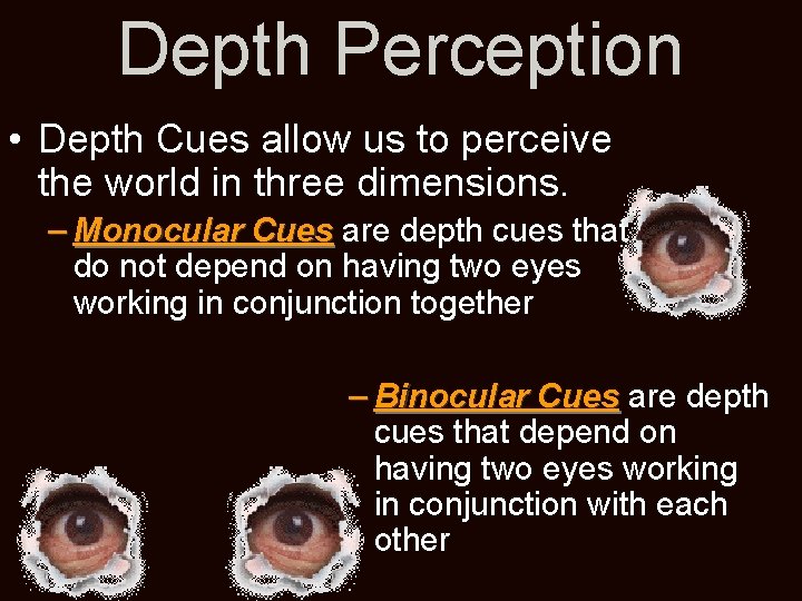 Depth Perception • Depth Cues allow us to perceive the world in three dimensions.