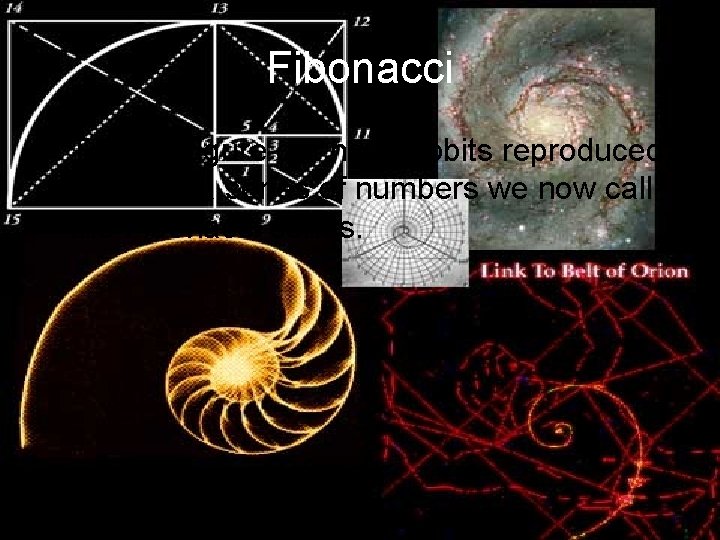 Fibonacci • Tried to figure out how rabbits reproduced by using a series of