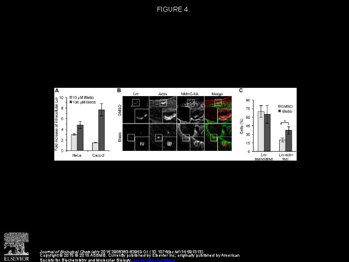 FIGURE 4. Journal of Biological Chemistry 2015 2908383 -8395 DOI: (10. 1074/jbc. M 114.