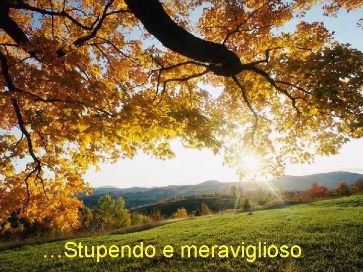 …Stupendo e meraviglioso 