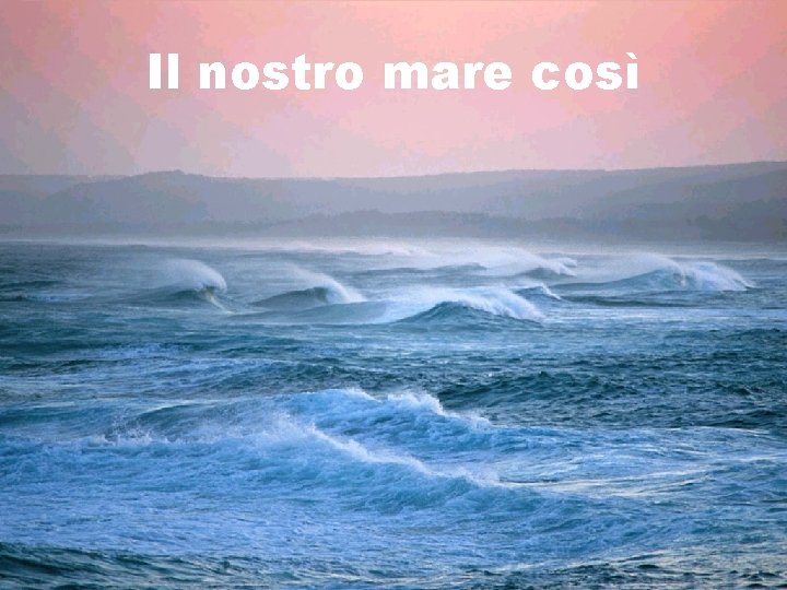 Il nostro mare così 