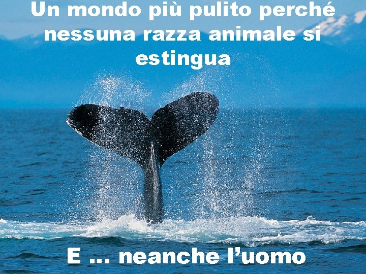 Un mondo più pulito perché nessuna razza animale si estingua E … neanche l’uomo