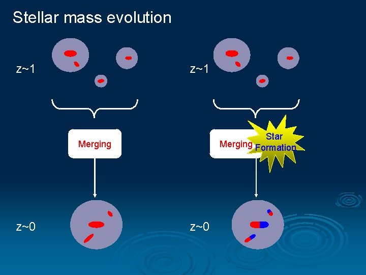 Stellar mass evolution z~1 Star Merging Formation Merging z~0 