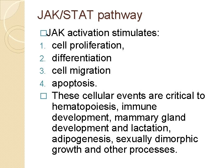 JAK/STAT pathway �JAK 1. 2. 3. 4. � activation stimulates: cell proliferation, differentiation cell