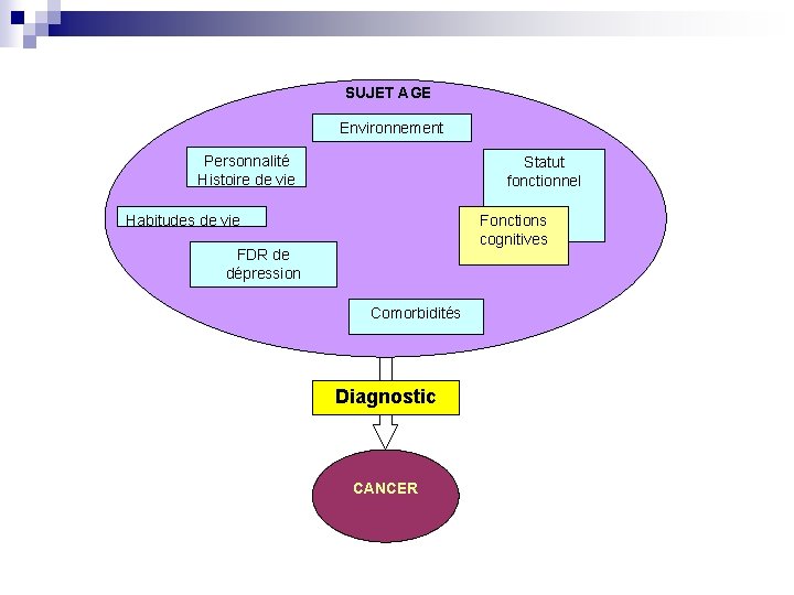 SUJET AGE Environnement Personnalité Histoire de vie Statut fonctionnel Fonctions cognitives Habitudes de vie