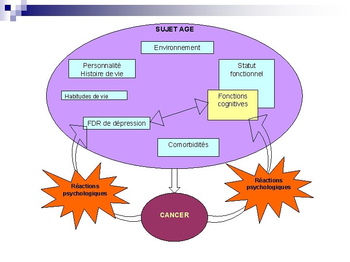 SUJET AGE Environnement Personnalité Histoire de vie Statut fonctionnel Fonctions cognitives Habitudes de vie