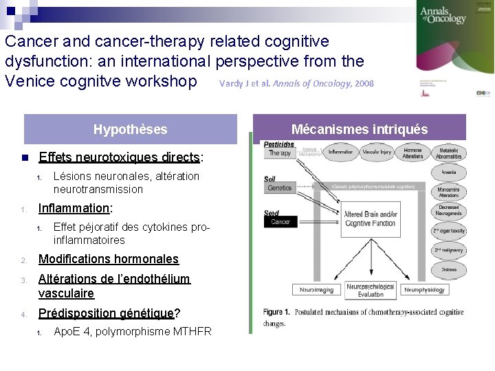 Cancer and cancer-therapy related cognitive dysfunction: an international perspective from the Venice cognitve workshop