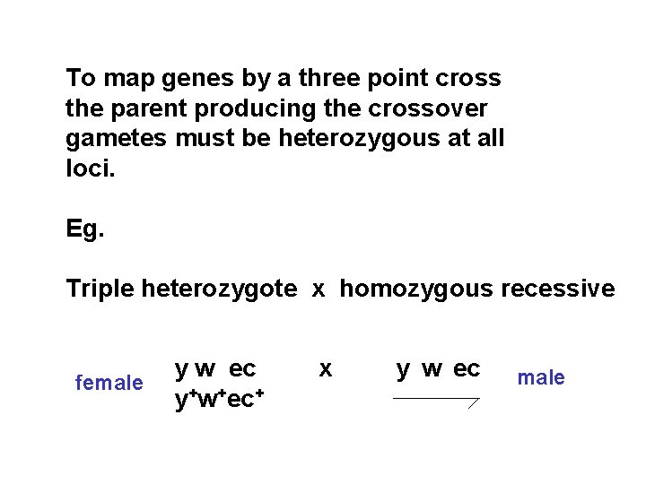 To map genes by a three point cross the parent producing the crossover gametes